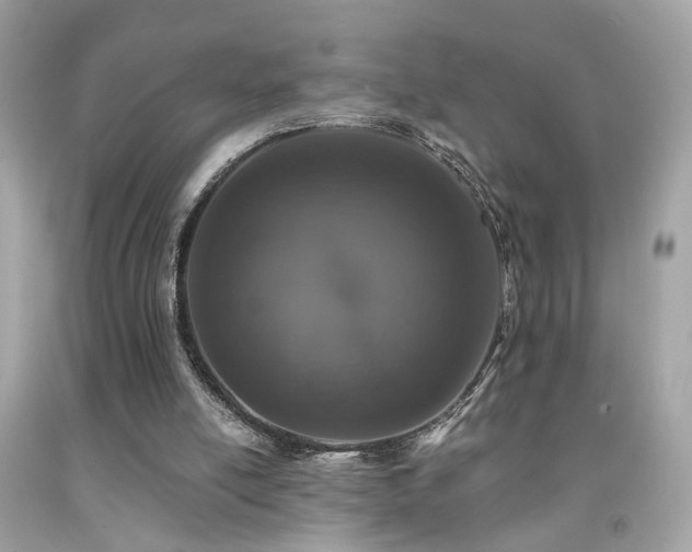 X0000092080054200709121452