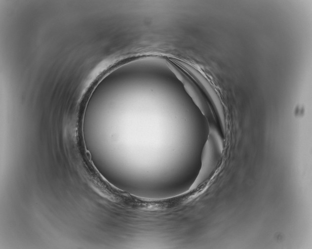 X0000092080056200709121452