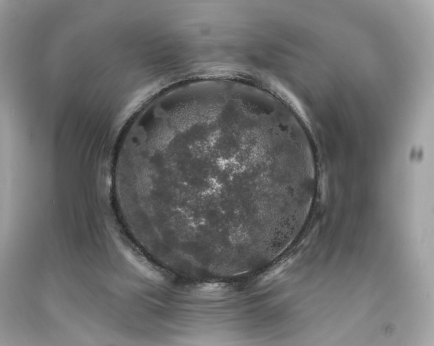 X0000092080059200709121452