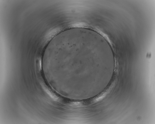 X0000092080061200709121452