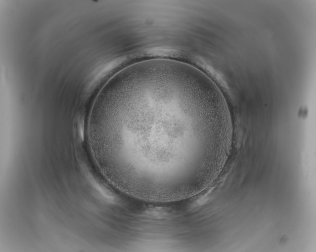 X0000092080062200709121452