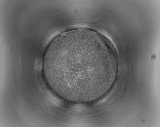 X0000092080063200709121452