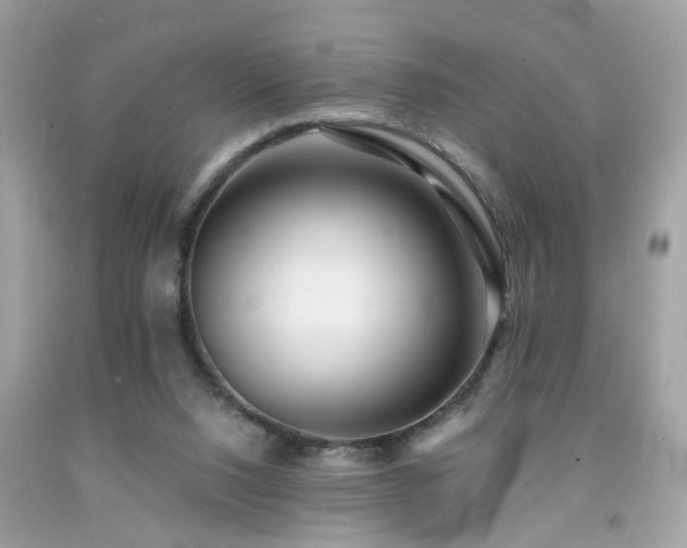 X0000092080064200709121452