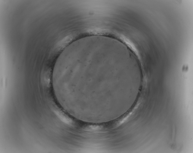 X0000092080065200709121452