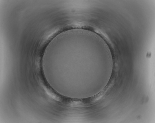 X0000092080066200709121452