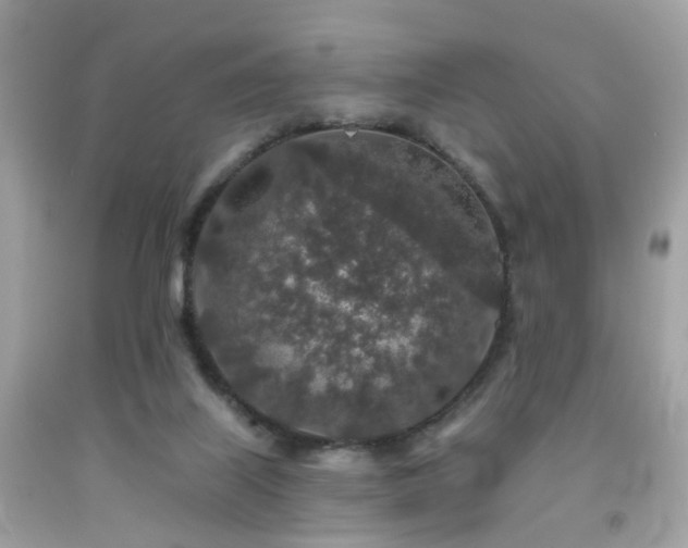 X0000092080067200709121452