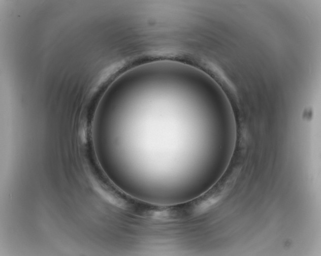 X0000092080068200709121452