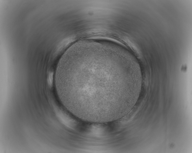 X0000092080070200709121452