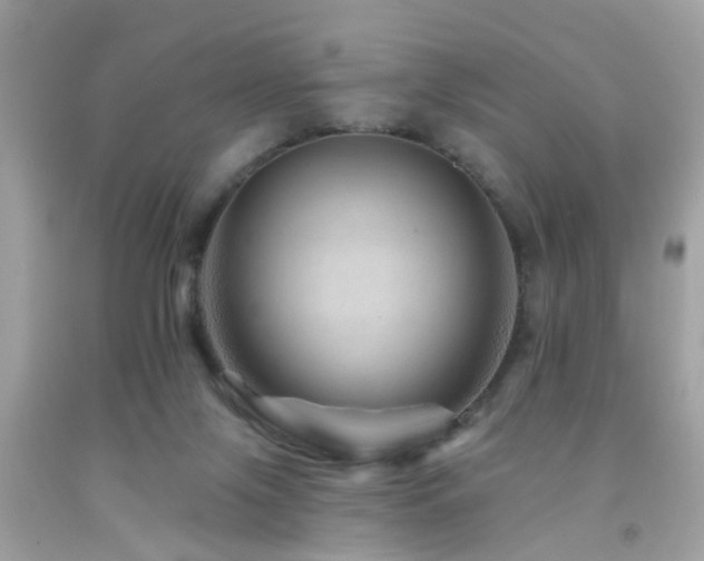 X0000092080071200709121452