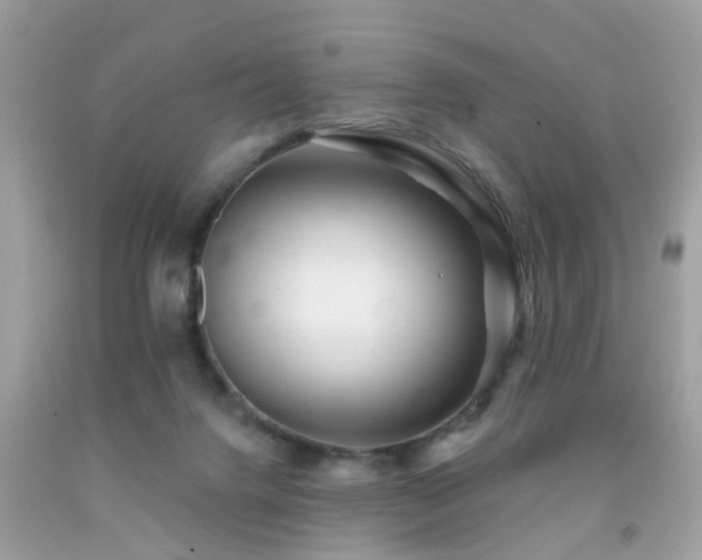 X0000092080072200709121452