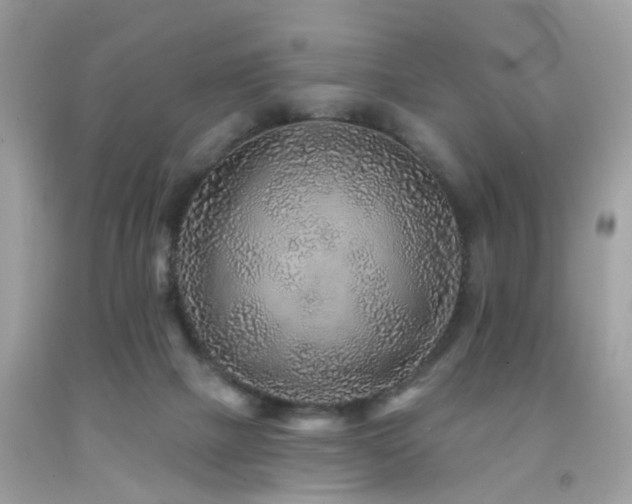 X0000092080073200709121452