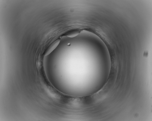 X0000092080074200709121452