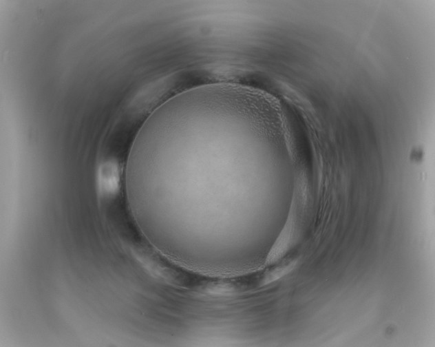 X0000092080075200709121452