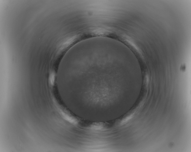 X0000092080076200709121452