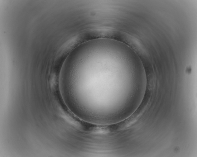 X0000092080077200709121452