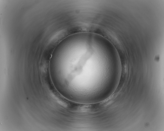 X0000092080078200709121452