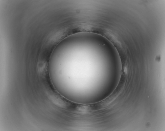 X0000092080079200709121452