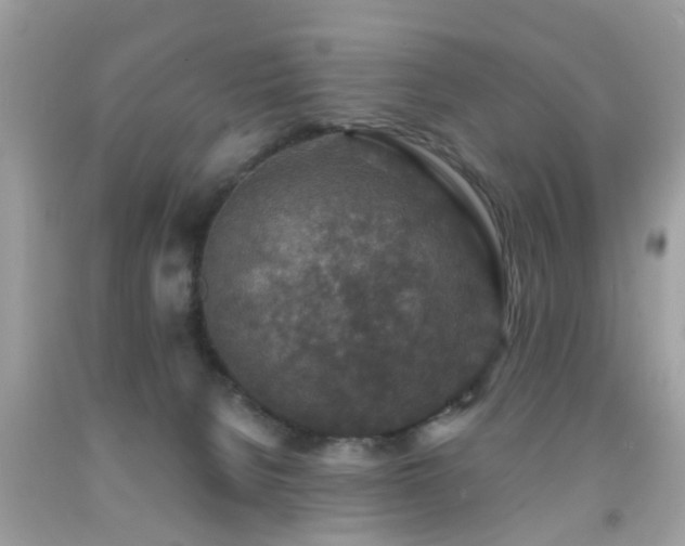 X0000092080080200709121452