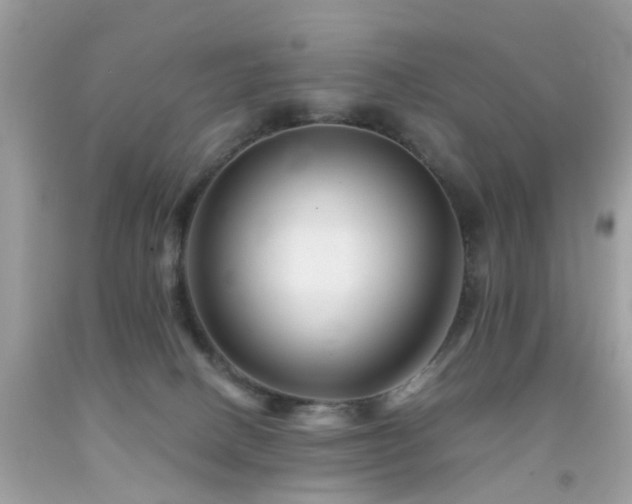 X0000092080082200709121452