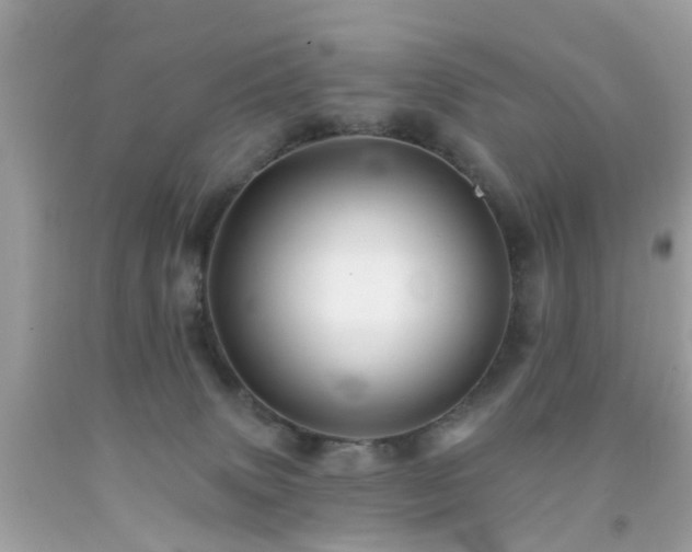 X0000092080083200709121452