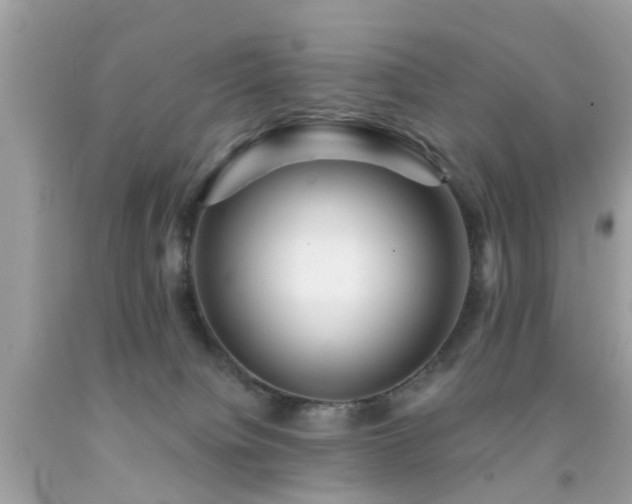 X0000092080084200709121452