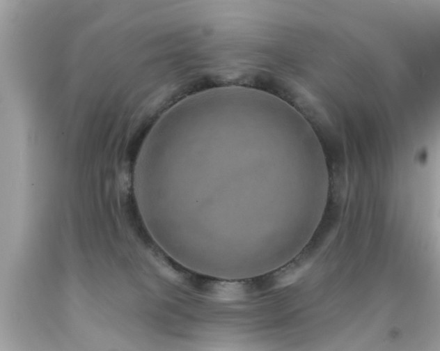 X0000092080085200709121452