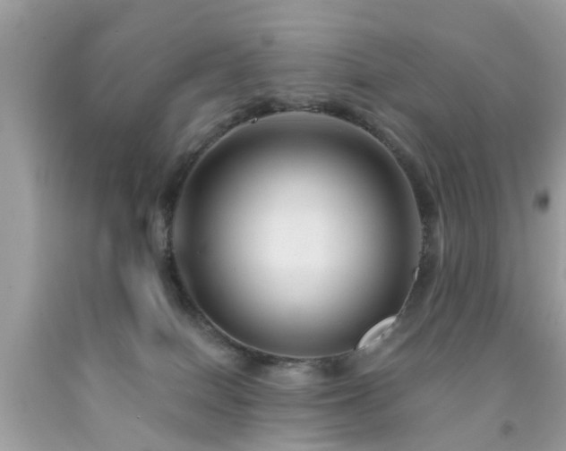 X0000092080086200709121452