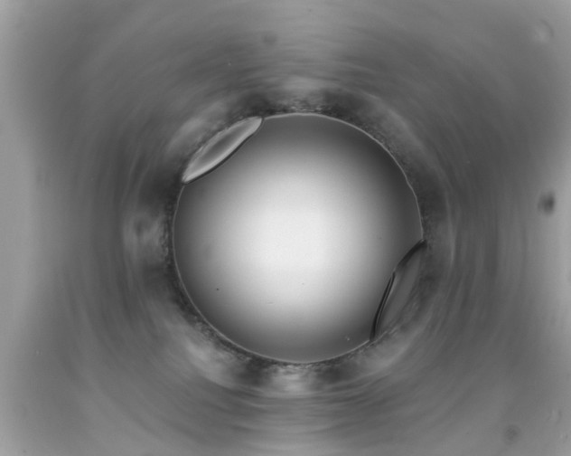 X0000092080088200709121452