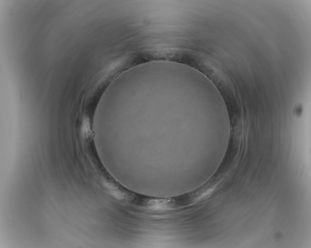 X0000092080089200709121452