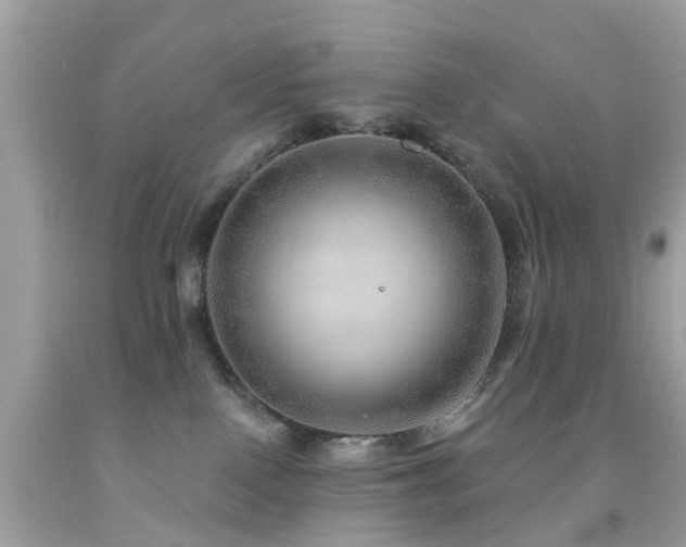 X0000092080090200709121452