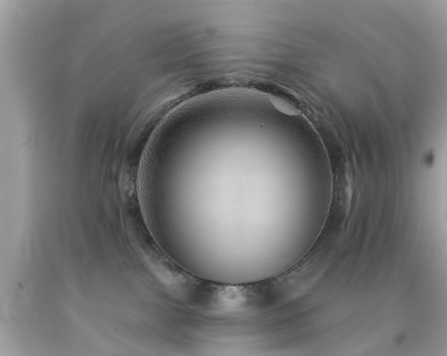 X0000092080091200709121452