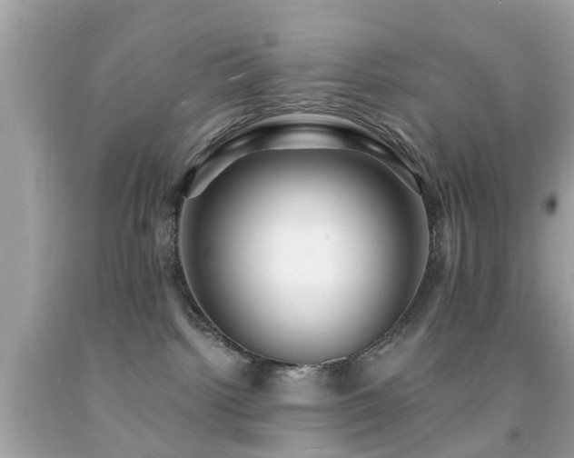 X0000092080092200709121452