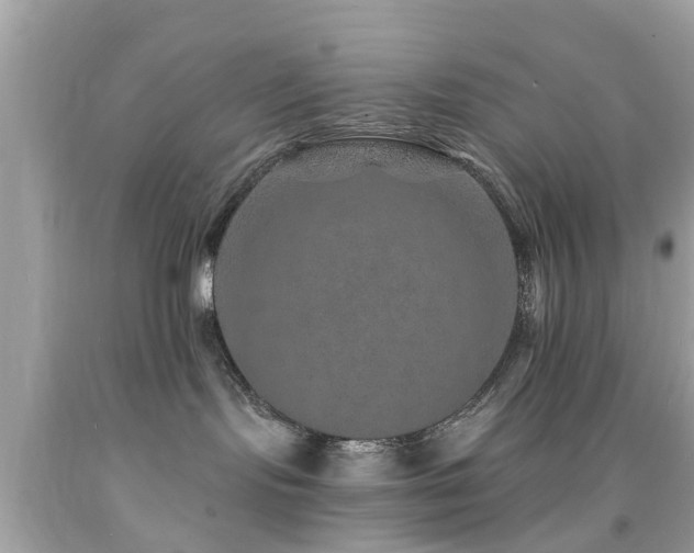 X0000092080095200709121453