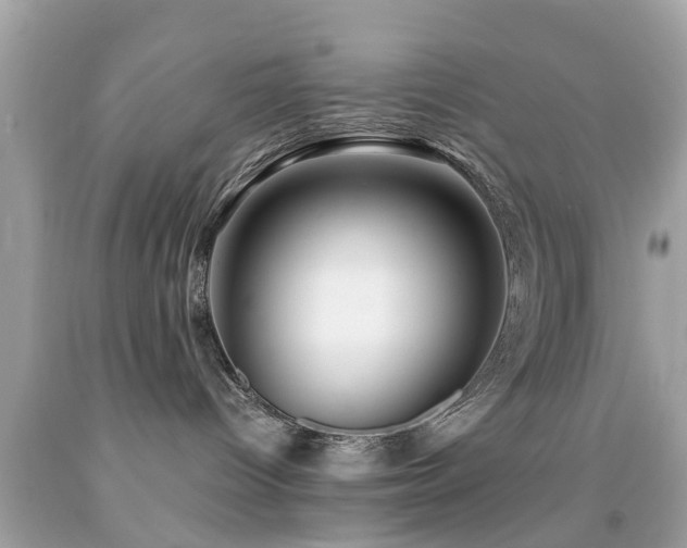 X0000092080096200709121453