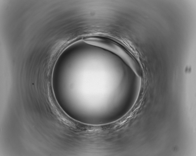 X0000092080097200709121452