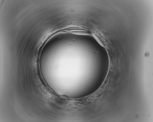 X0000092080098200709121452