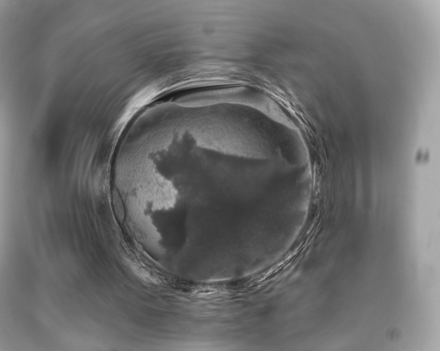 X0000092080099200709121452
