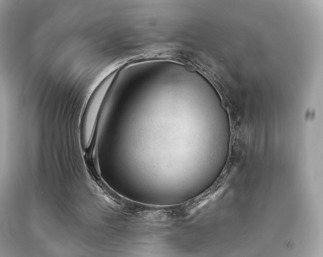 X0000092080100200709121452