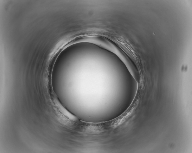 X0000092080101200709121452