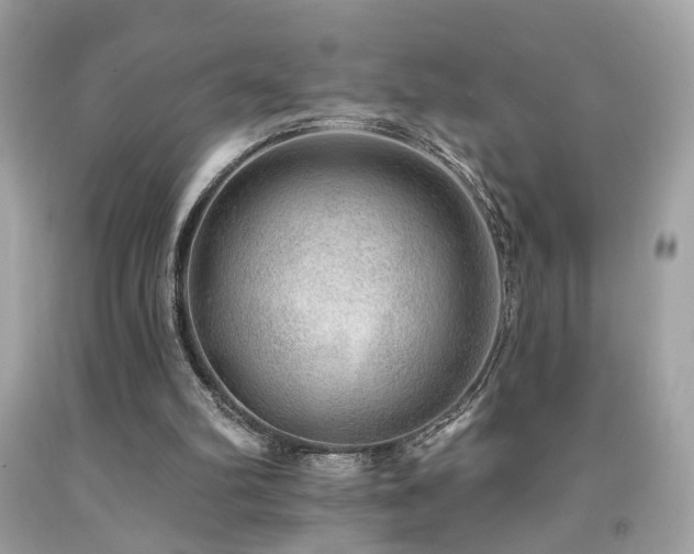 X0000092080102200709121452