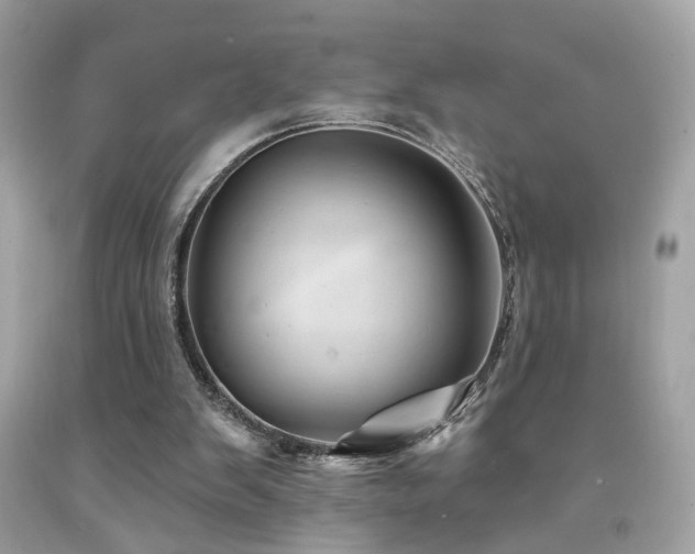 X0000092080103200709121452
