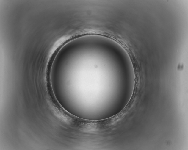 X0000092080104200709121452