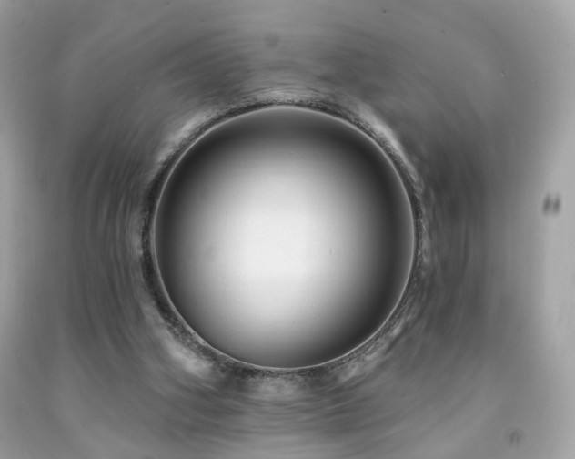 X0000092080106200709121452