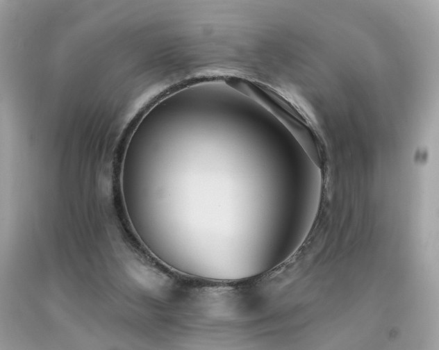 X0000092080108200709121452