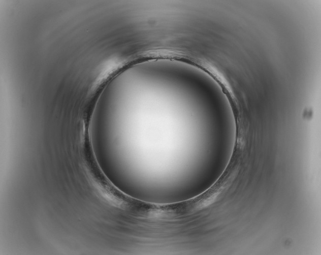 X0000092080109200709121452