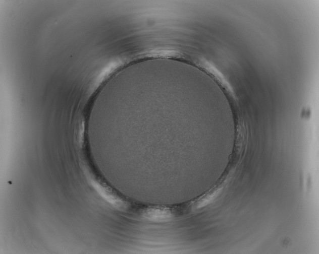 X0000092080110200709121452