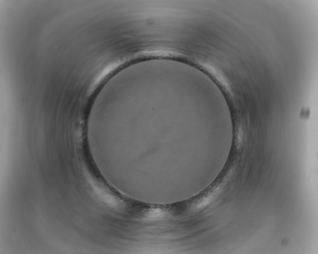 X0000092080111200709121452