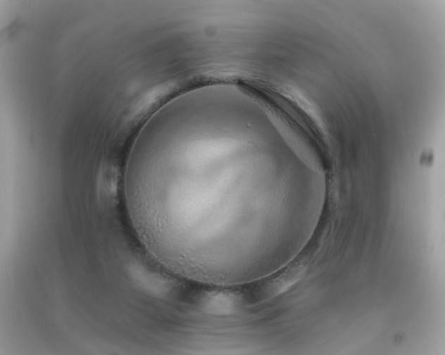 X0000092080115200709121452