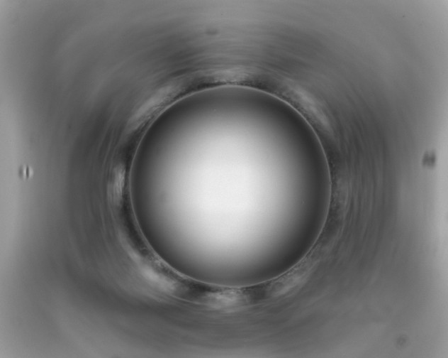 X0000092080118200709121452