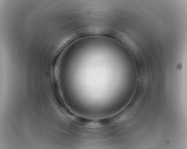 X0000092080119200709121452
